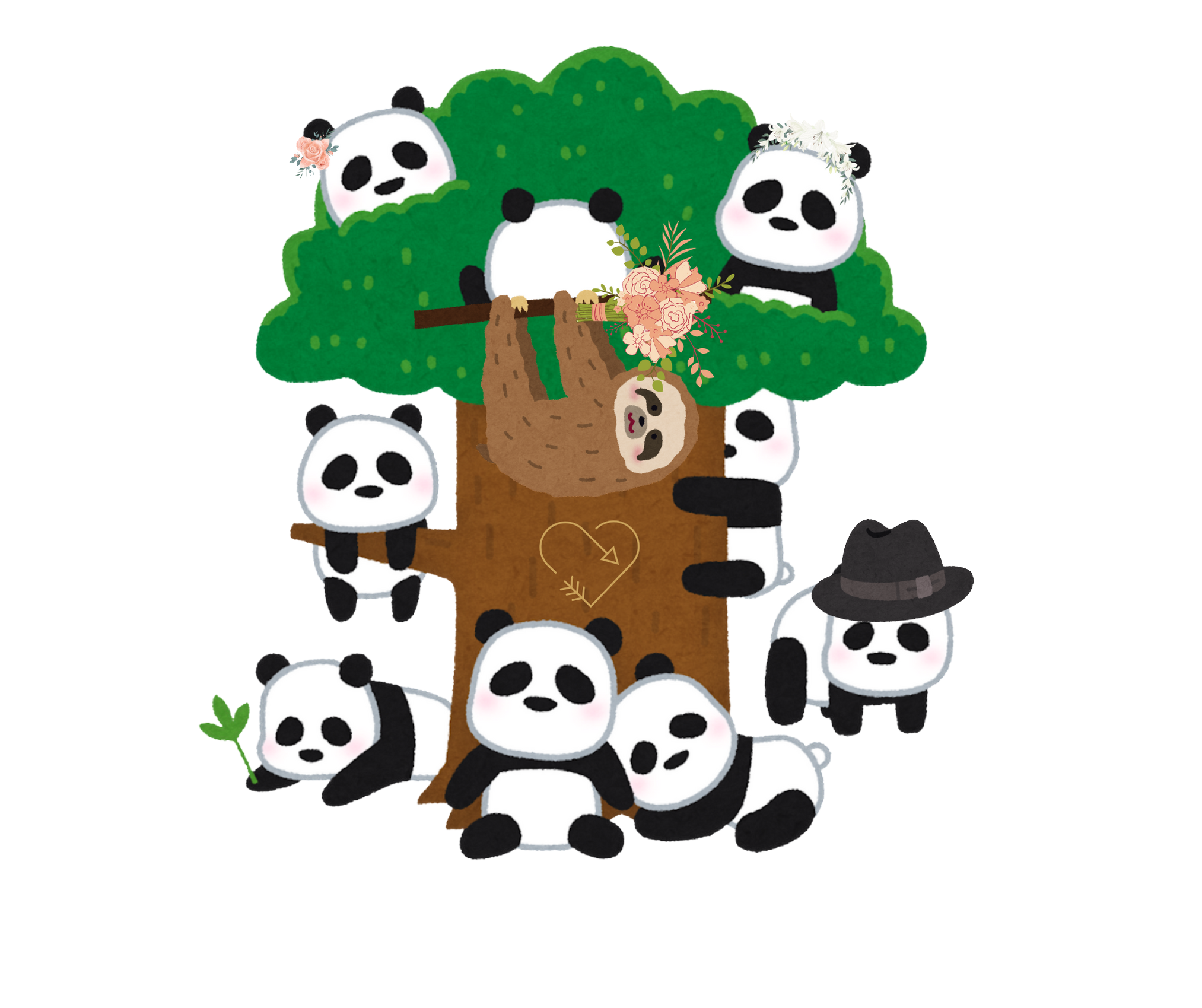 pandy-img